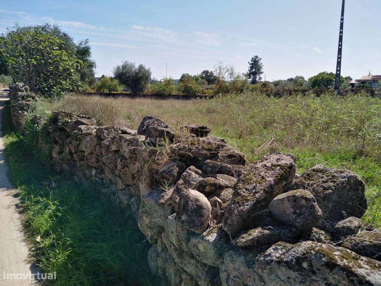 Tereno em Alcains, Castelo Branco - Grande imagem: 3/8