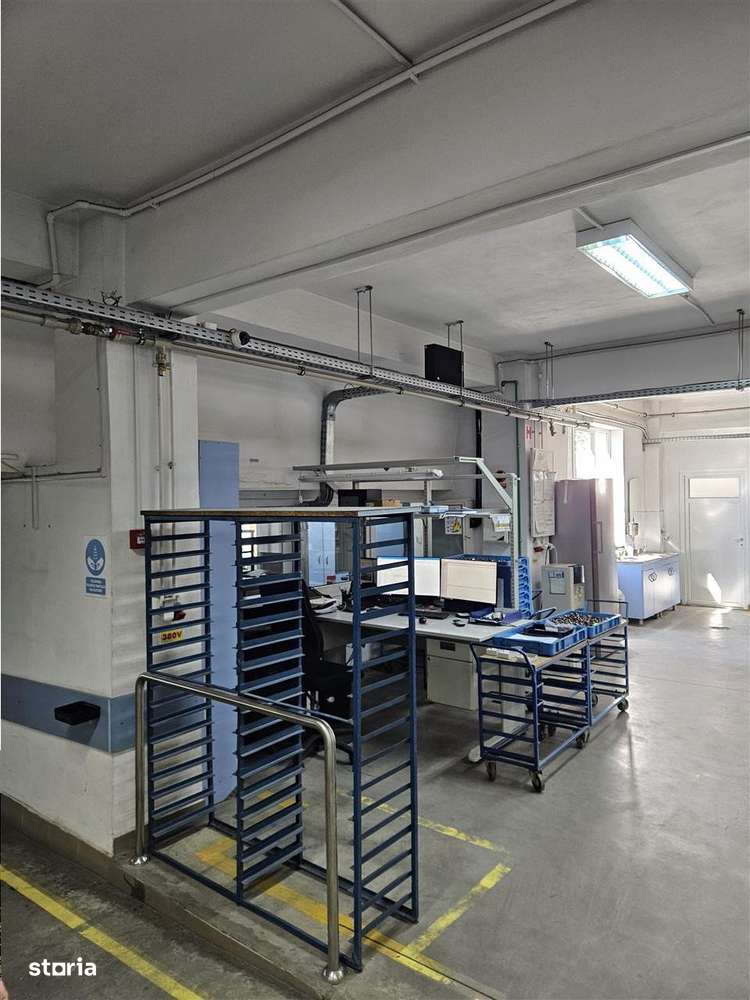 Exclusivitate - Proprietate Industriala De Vanzare - Productie - Depoz-12