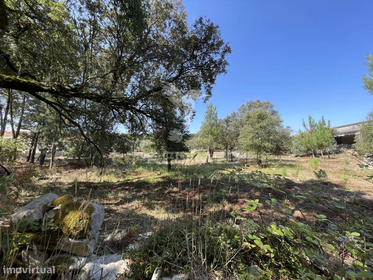 Terreno para construção no Moimento, Fátima - Grande imagem: 5/10