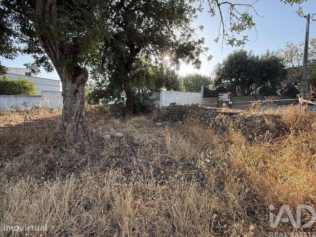 Terreno para construção em Santa Bárbara de Nexe de 3280,00 m2 - Grande imagem: 5/24