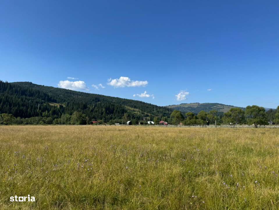 Vanzare 33400 parcelat- 18 loturi - Plaiul Sarului la sosea- microdezv-11