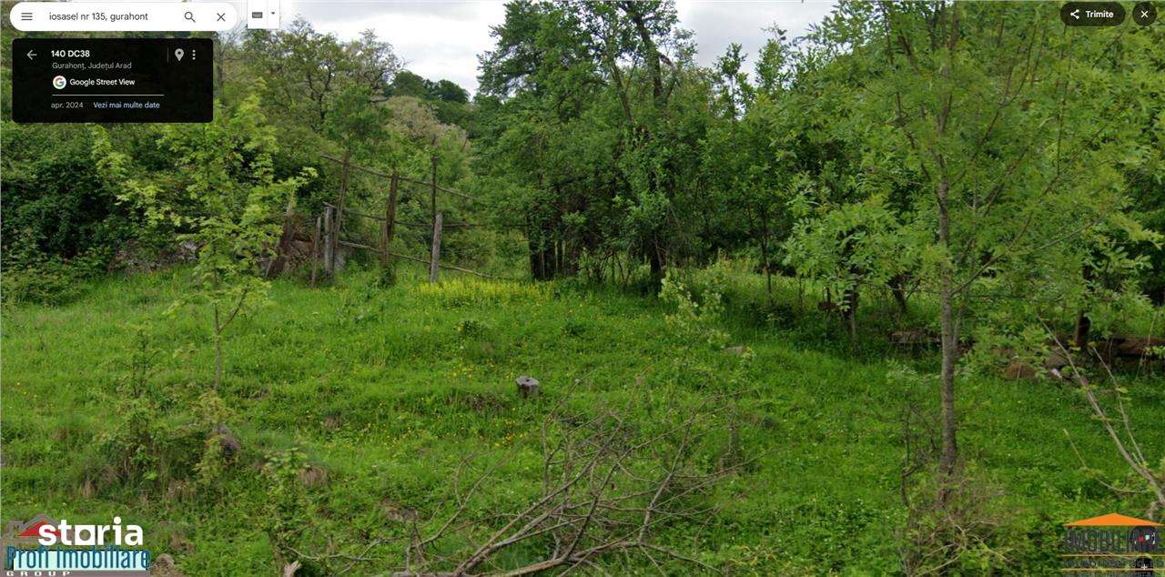 Loc de casa 1080 mp in Gurahont, cart. Iosasel - Imagine principală: 4/8