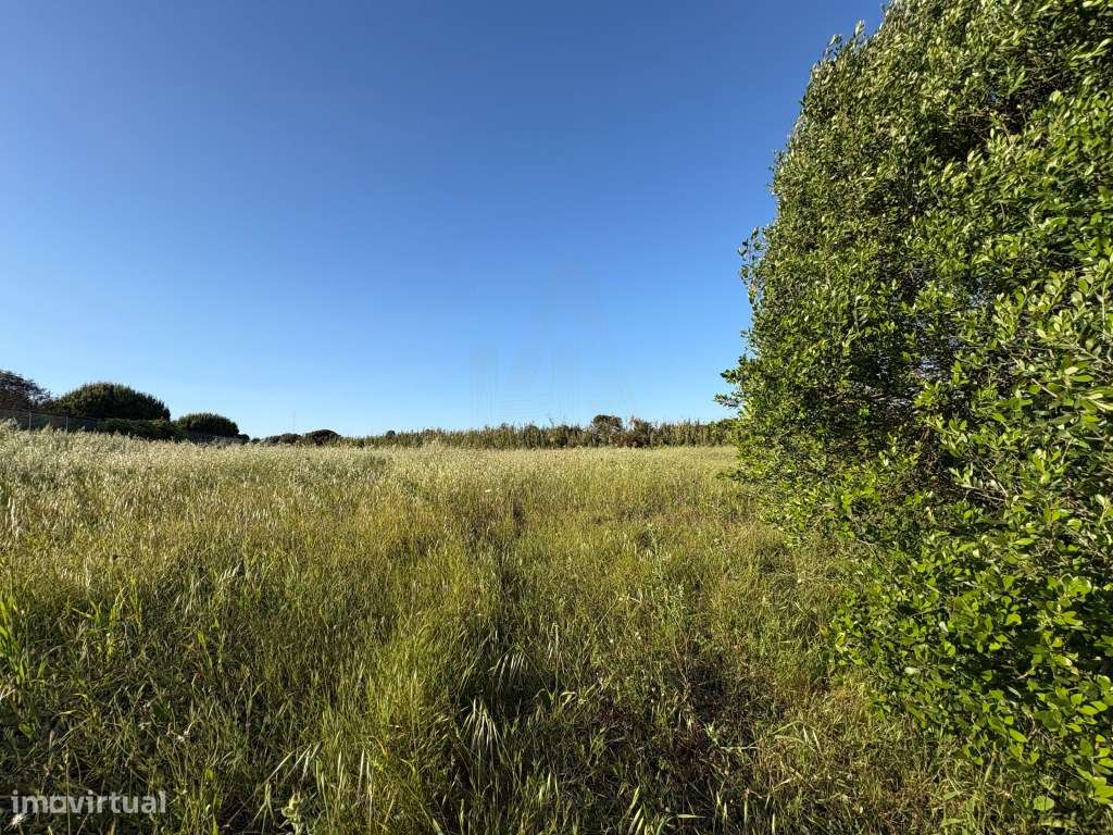 Dois terrenos planos na Azóia, Sesimbra - mais de 8.200 m² em zona ... - Grande imagem: 4/4
