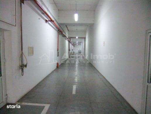 Complex industrial 30130  mp construit - Teren 42558 mp-18