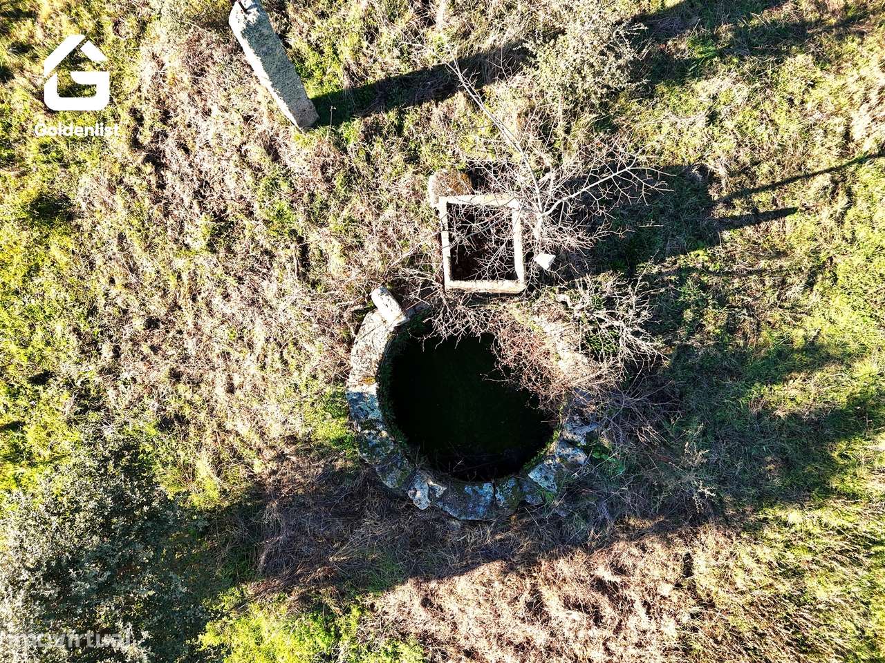 Quintinha  Venda em Escalos de Cima e Lousa,Castelo Branco-9