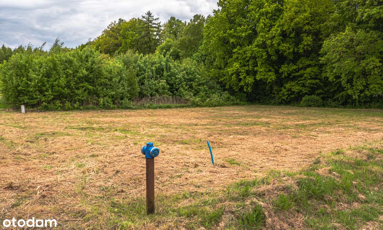 Wyjątkowa Działka Budowlana w Trąbkach Wielkich - Do negocjacji - Pełny obrazek: 4/13