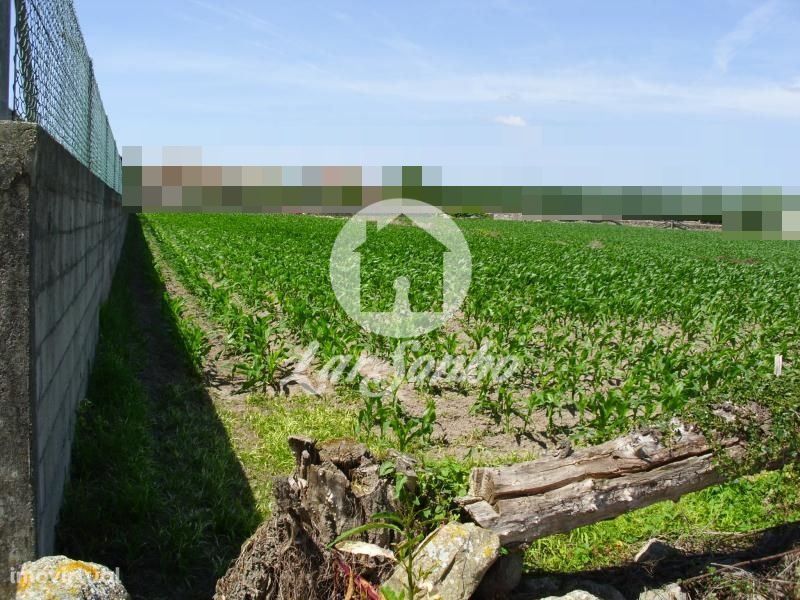 Terreno Agrícola c/ 2.440m2 em Touguinha - Vila do Conde