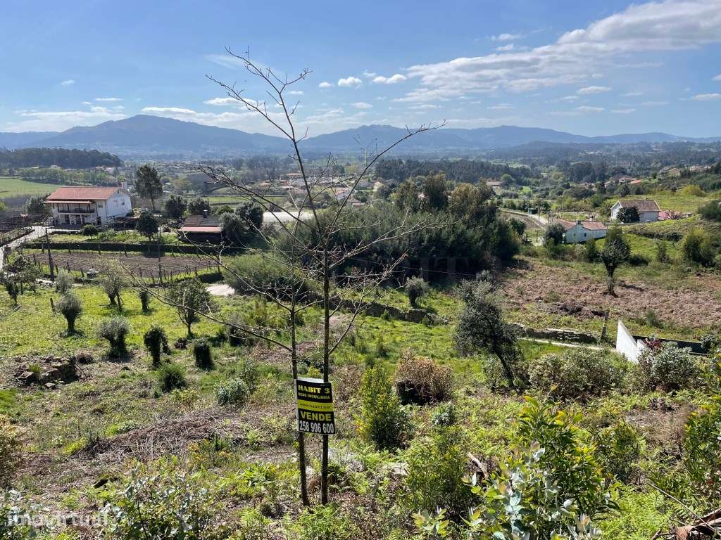 Terreno (monte) em Moreira do Lima - Grande imagem: 2/3