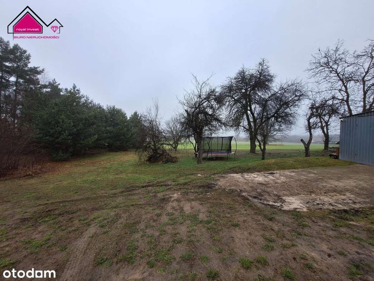 Działka z lasem - zabudowania w cenie gruntu-8