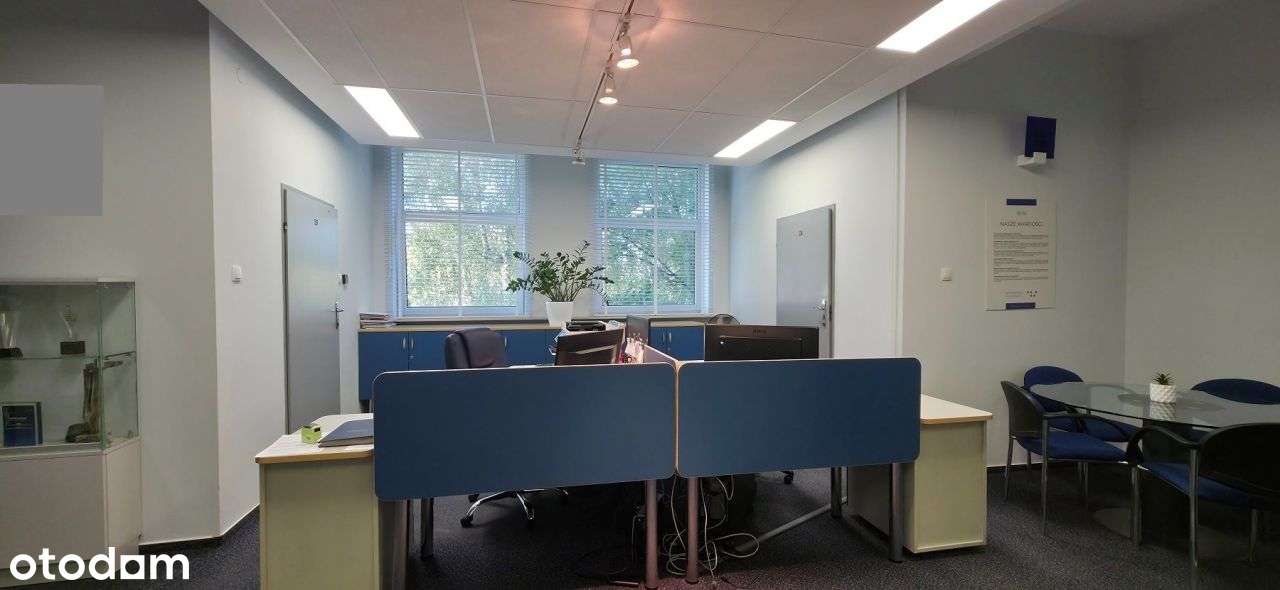 Lokal użytkowy, 239,50 m², Kutno - Pełny obrazek: 5/9