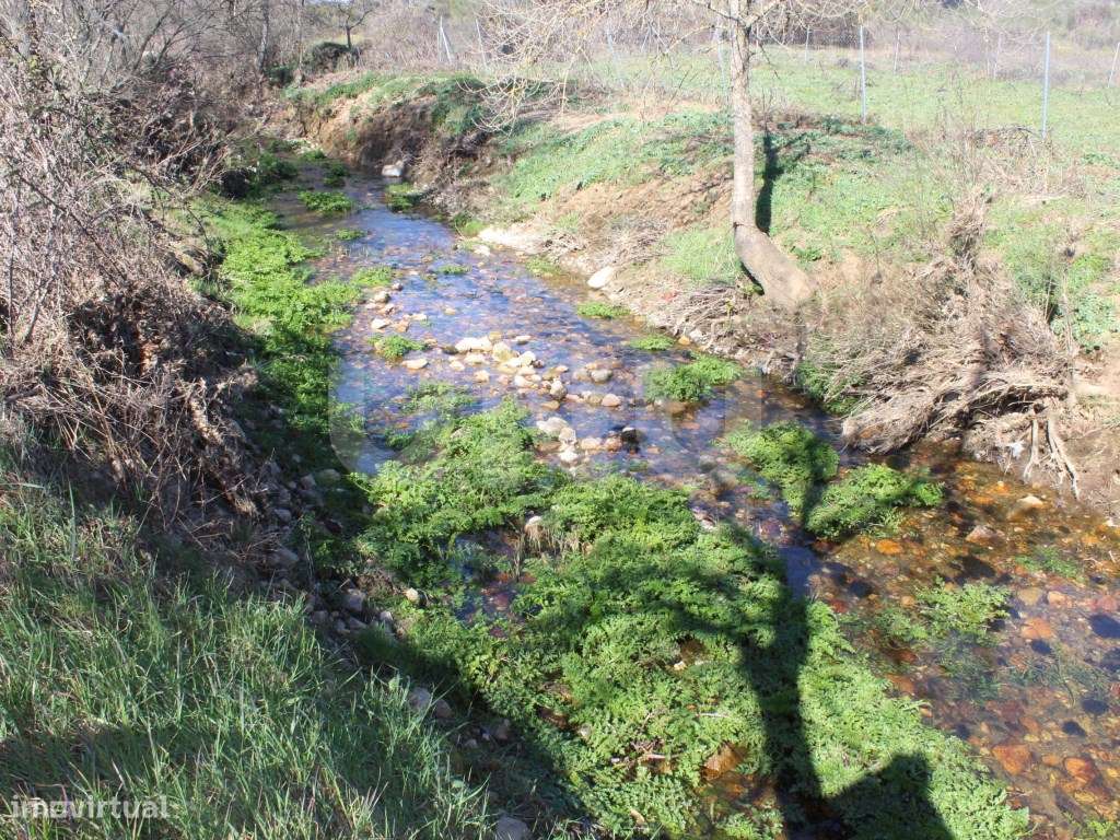 Quinta para Venda em Aldeia do Bispo, Penamacor - Grande imagem: 3/22