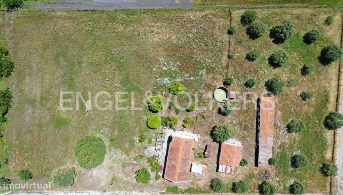 Quinta para Renovar em Grândola - Grande imagem: 5/11