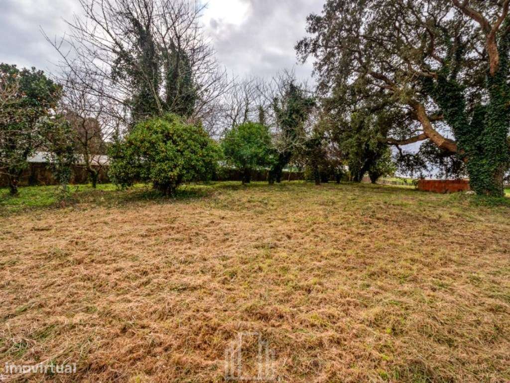 Lote - Salreu - Grande imagem: 4/11