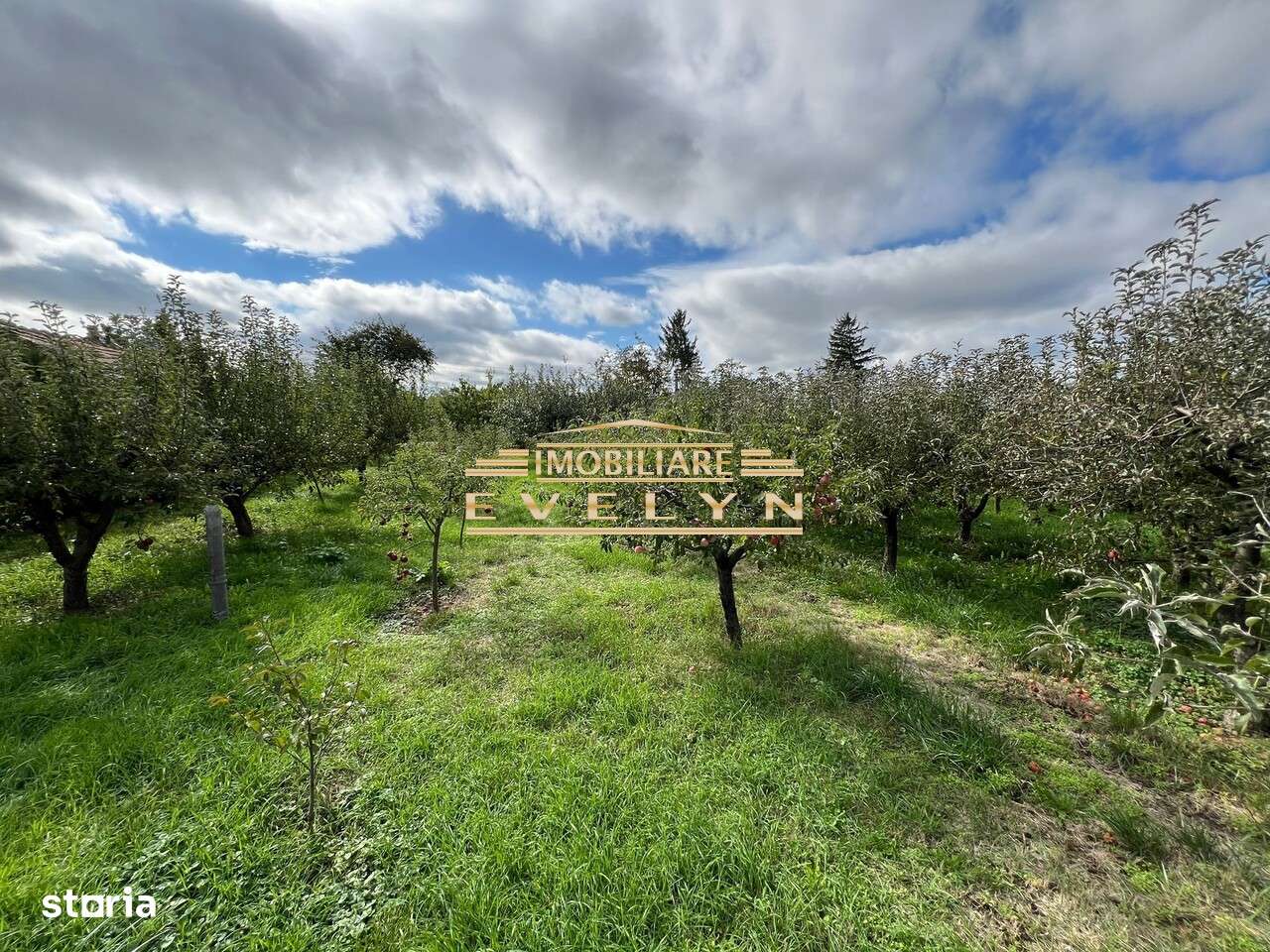 De vanzare casa D+P+E + teren 2164mp, Sat Hutani/Com. Vladeni, pret - Imagine principală: 4/10