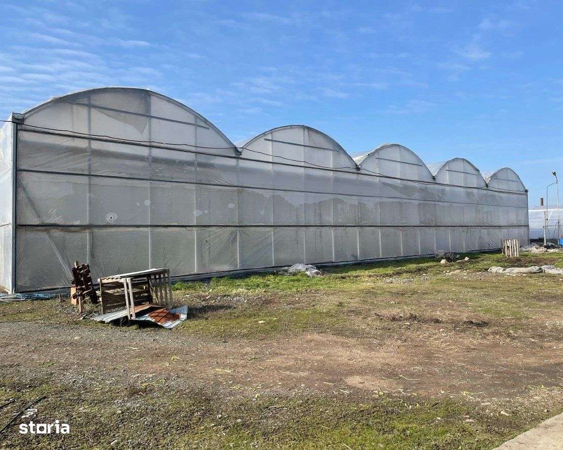 Sera de legume 10.094 mp + Hala 876 mp + teren 20.000 mp - Imagine principală: 4/9