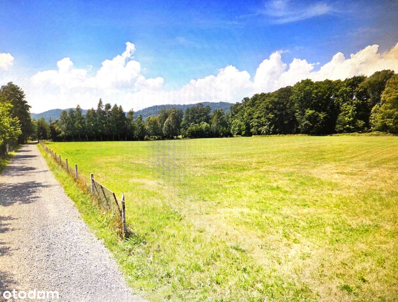 Działka budowlana o pow. 5000 m2/warunki zabudowy! - Pełny obrazek: 5/7