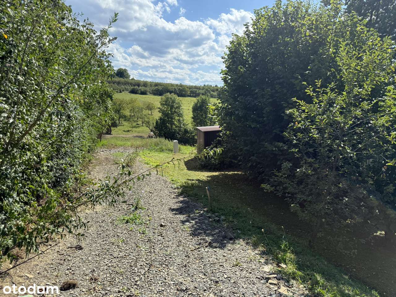Bojańczyce - widokowa działka budowlana-10