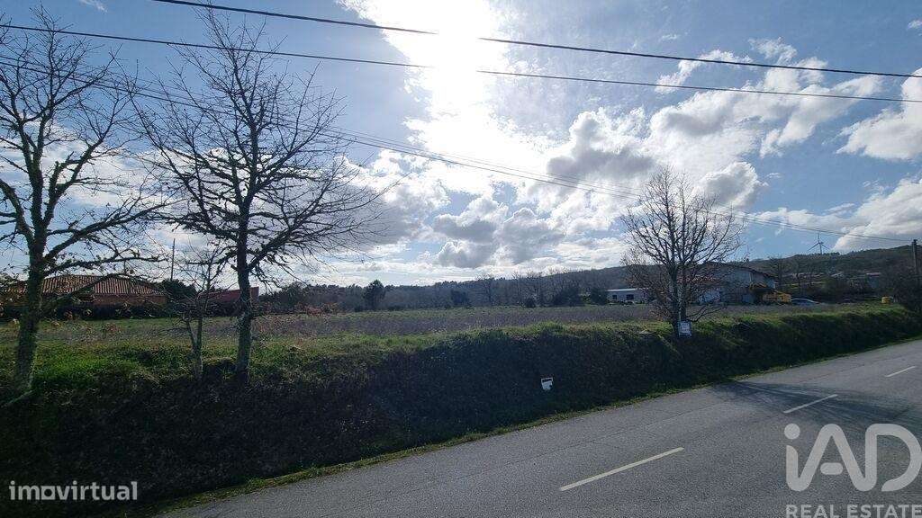 Terreno em Pêra do Moço - Grande imagem: 2/15
