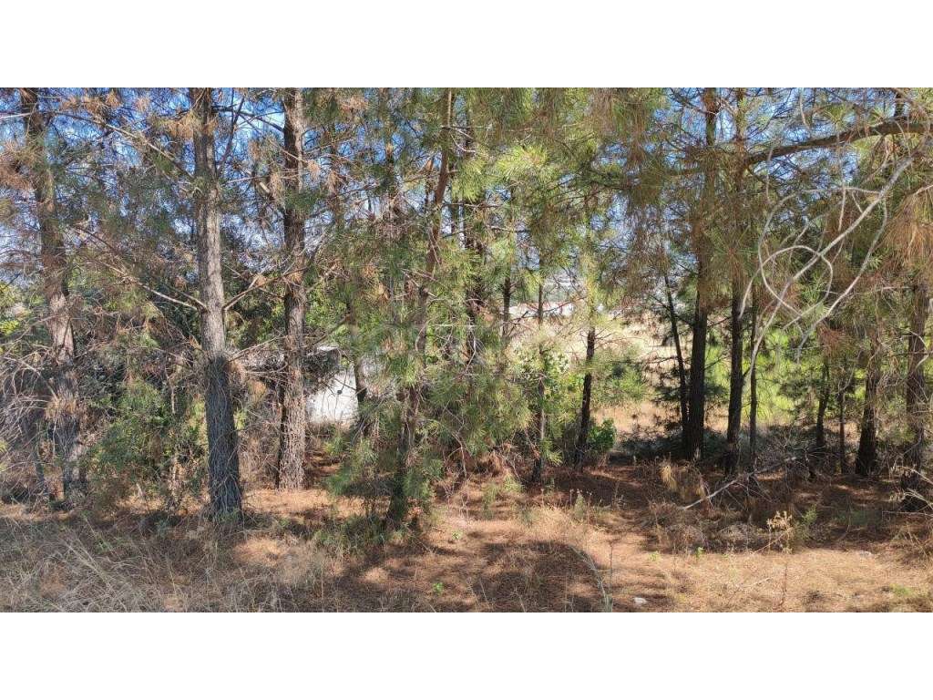 Lote para construção de moradia isolada perto da cidade de Torres N... - Grande imagem: 4/12