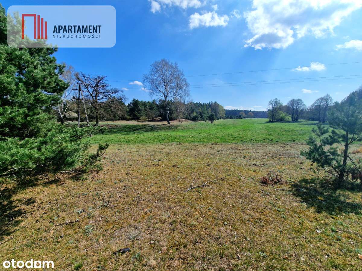 Działka w Szkocji! Głusza! Las! Rzeka! - Pełny obrazek: 4/20