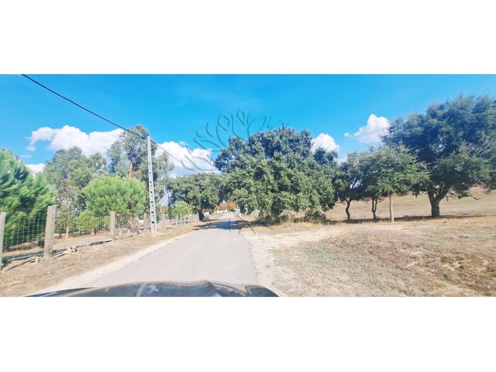 Terreno para moradia - Grande imagem: 5/10