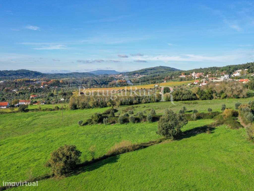 Quinta com 8 ha e solar do século XVIII, na região de Ferreira do Z... - Grande imagem: 4/36