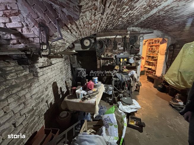Casa pe malul Crisului - 172 mp - Ultracentral-13
