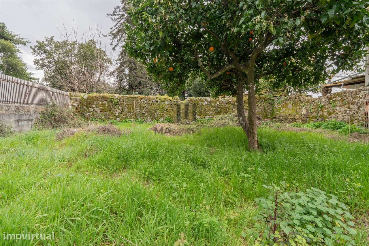 Prédio Centro | Projecto aprovado | Terreno Privado-20