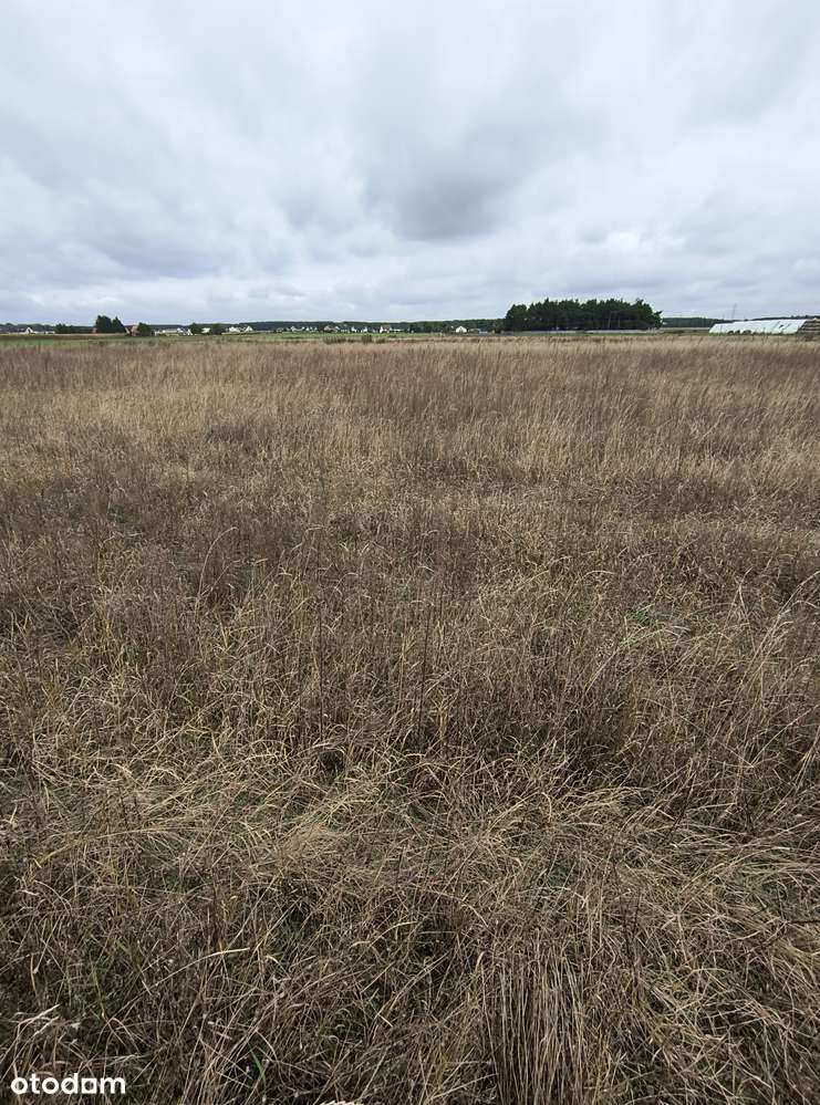 DZIAŁKA BUDOWLANA NA SPRZEDAŻ – GRODZISK WIELKOPOLSKI - Pełny obrazek: 4/5