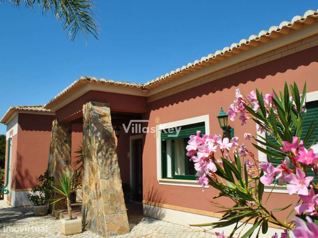 Espetacular casa de campo T4 com amplo terreno rústico - Grande imagem: 4/44