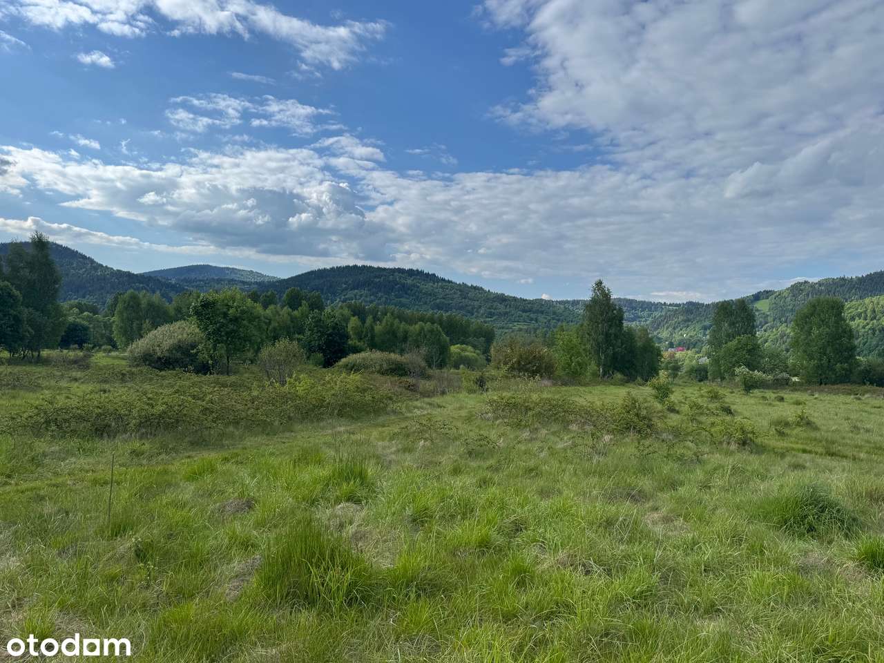 Mała i tania działka z dobrym dojazdem, widoki, zieleń, rekreacja - Pełny obrazek: 5/6