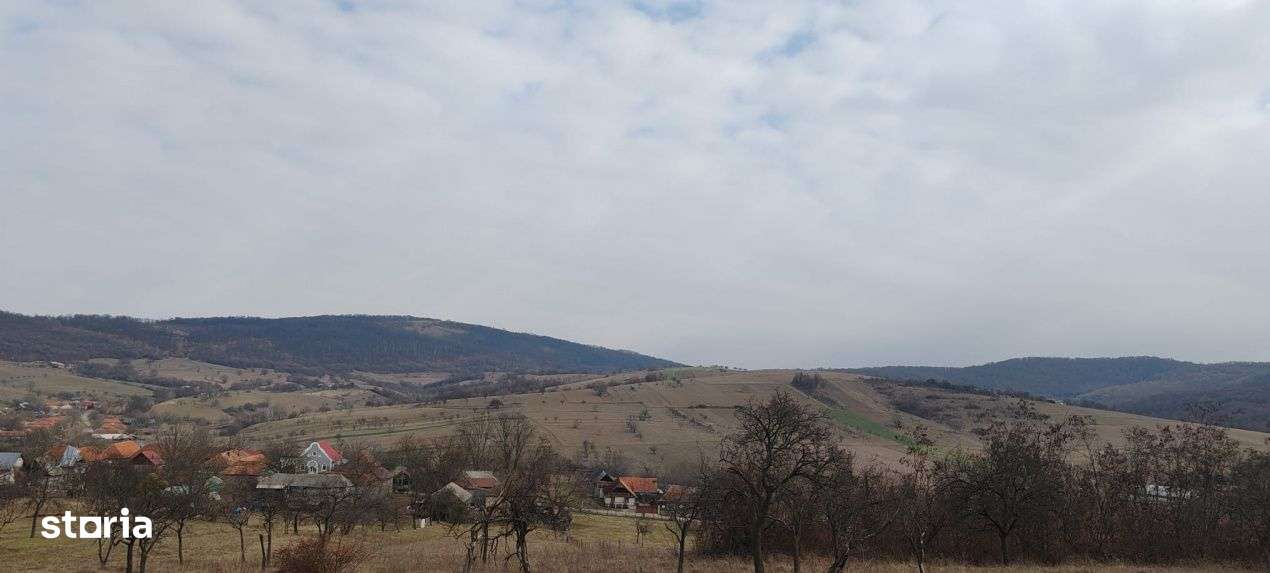 Teren 2282 mp, extravilan, localitatea Fasca, comuna Varciorog, jud. B - Imagine principală: 3/8