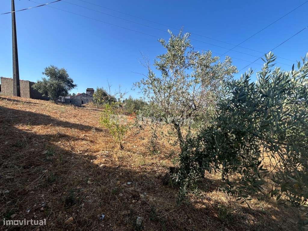 Terreno Urbano com 707m² - Martinchel, Abrantes - Grande imagem: 2/14