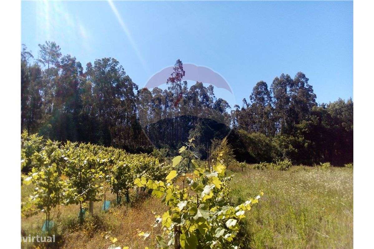 Terreno  para venda - Grande imagem: 4/7