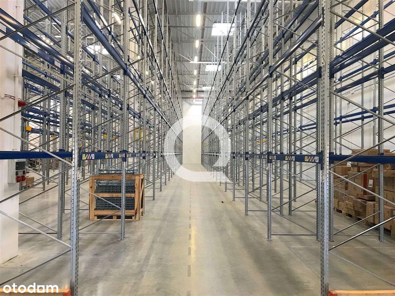 Hala/Magazyn, 2 025 m², Bydgoszcz - Pełny obrazek: 5/9