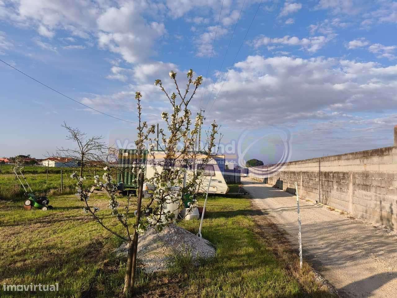 Terreno em Marinhais (M812) - Grande imagem: 4/7