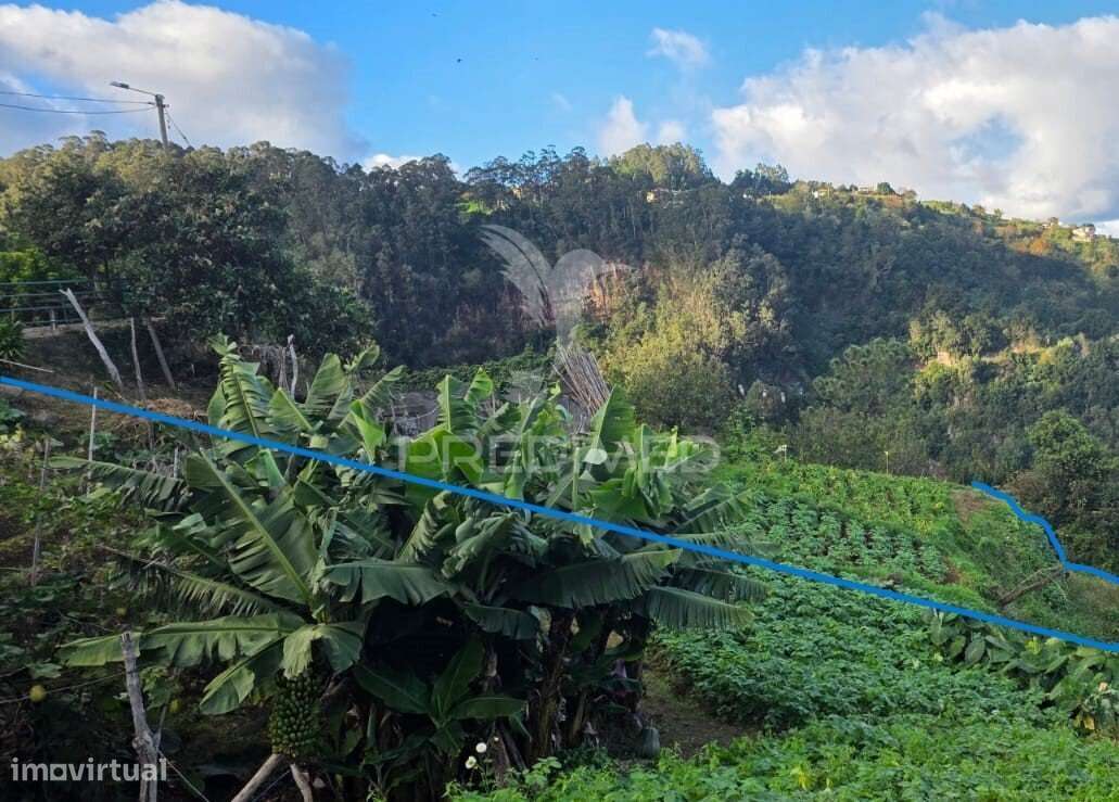 Terreno com Vista Atlântica e Montanha – Ilha, Santana | Madeira - Grande imagem: 5/13