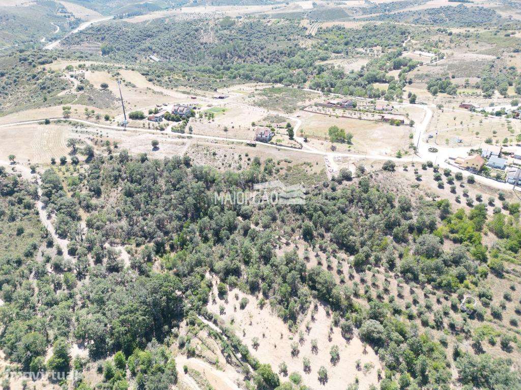 Terrenos em Quintanilha - Bragança - Grande imagem: 2/12