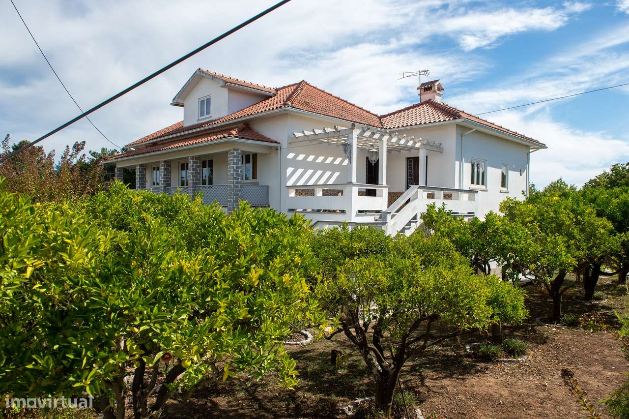 Quinta T6, Viseu, Santa Comba Dão, Santa Comba Dão e Couto do Mosteiro-42