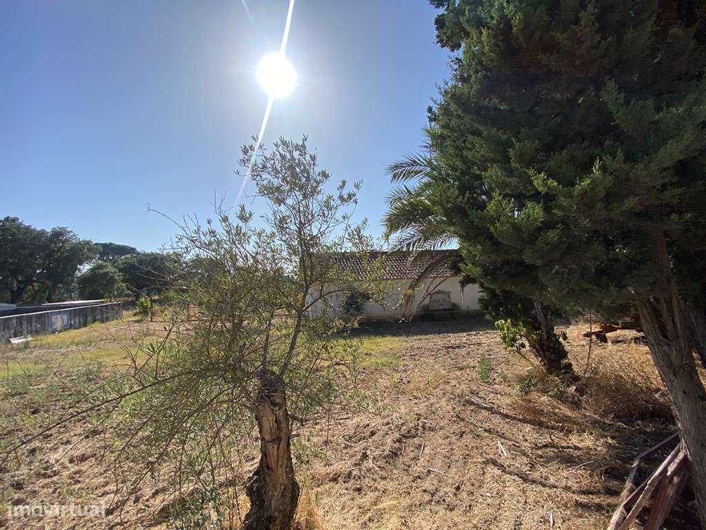 Terreno a venda com PIP aprovado para 8 Quintas, em condomínio em A... - Grande imagem: 5/12