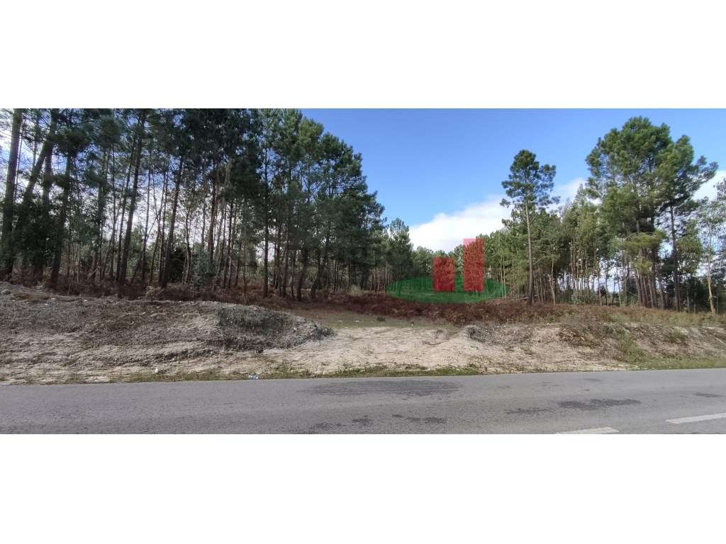 Terreno com Viabilidade para Loteamento - Grande imagem: 3/15