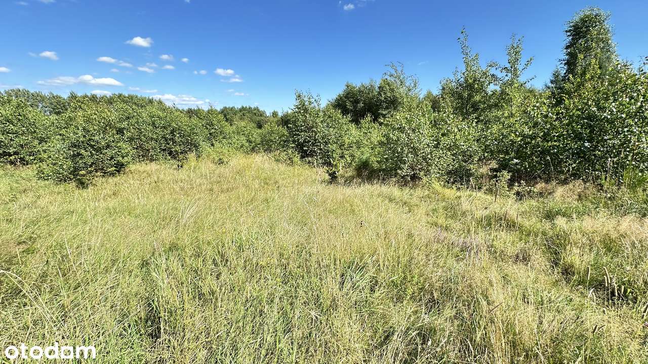 Domatówko! Duża działka niedaleko Wejherowa! - Pełny obrazek: 5/9