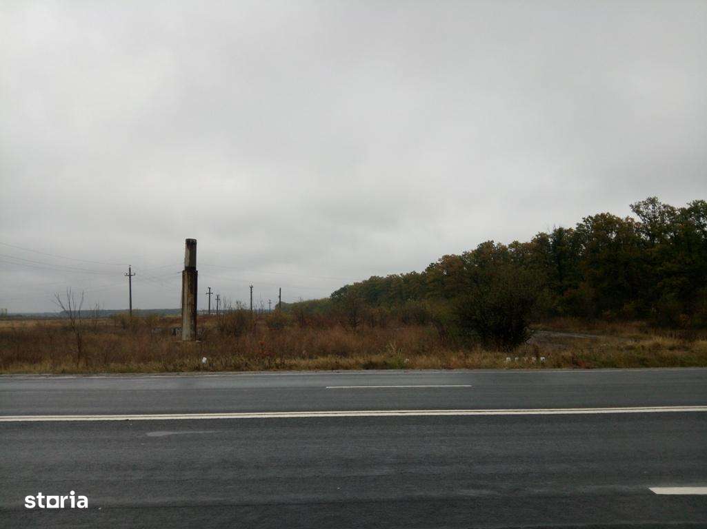 Vand Teren pt. PARC FOTOVOLTAIC, BENZINARIE, HALE - DN5 Buc.-Gr. Km.45 - Imagine principală: 5/19