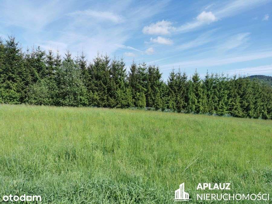 Działka budowlana w Kaczorowie, gmina Bolków - Pełny obrazek: 4/5