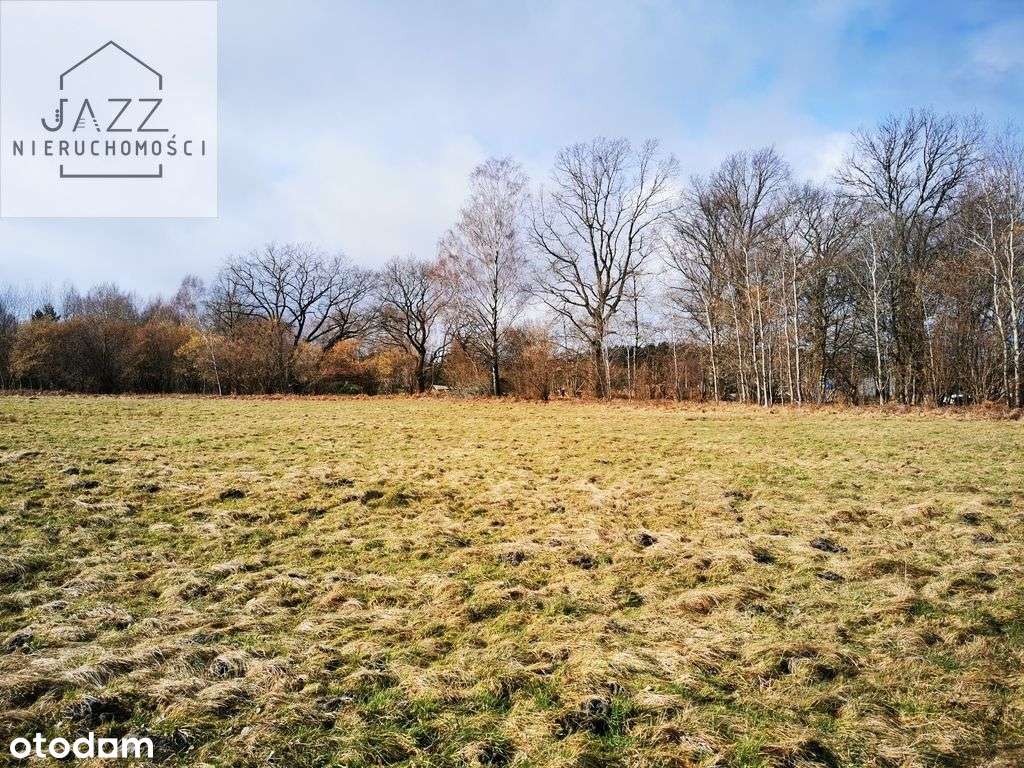 Działka usługowa w Sasinie 3500m2 - Pełny obrazek: 5/10