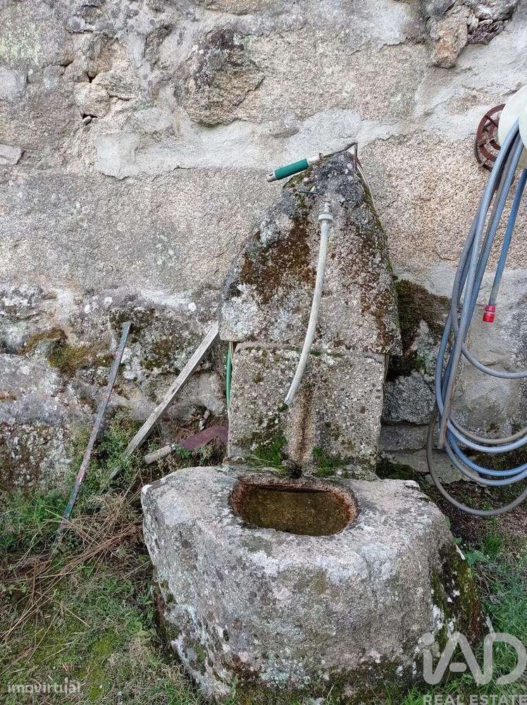 Terreno Agrícola em Sendim-12