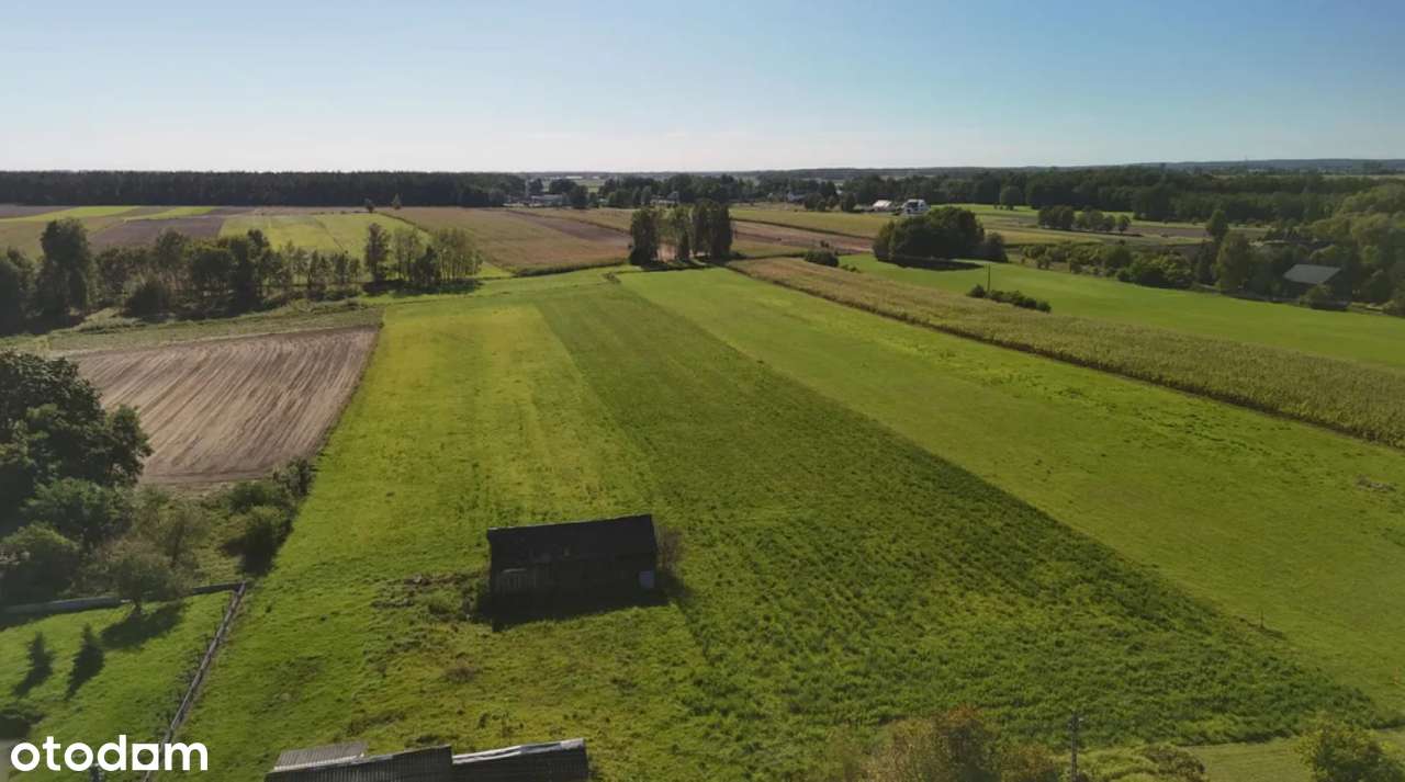 Działka 3000m2; Zambrów; ul. Stokrotki-7
