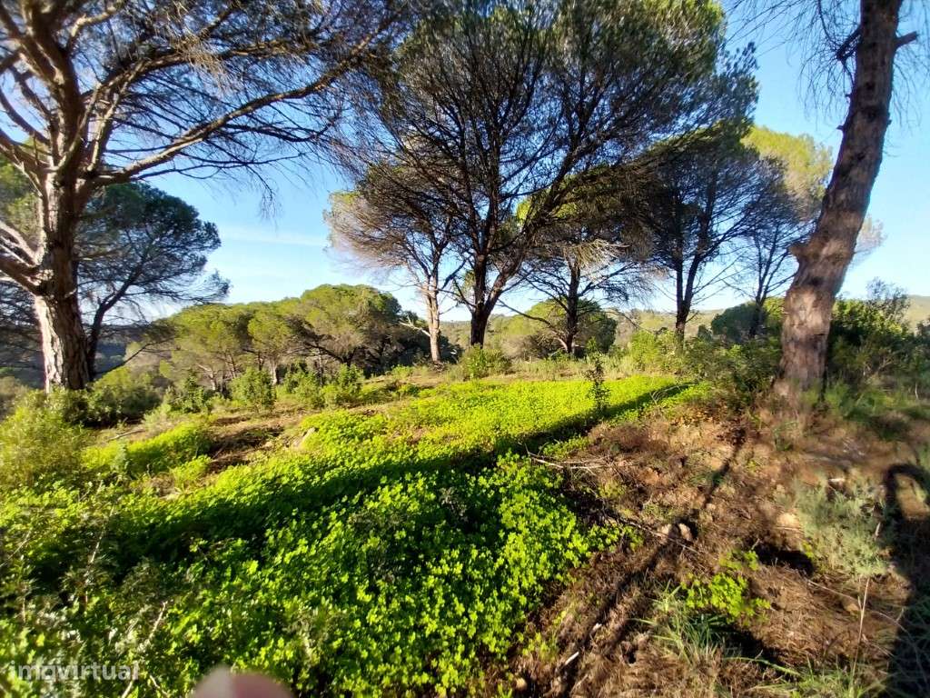 TERRENO Rústico - MELIDES - Grande imagem: 2/16