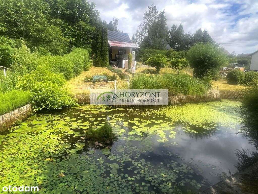 Działka rekreacyjna zabudowana Pierszczewo - Pełny obrazek: 5/7