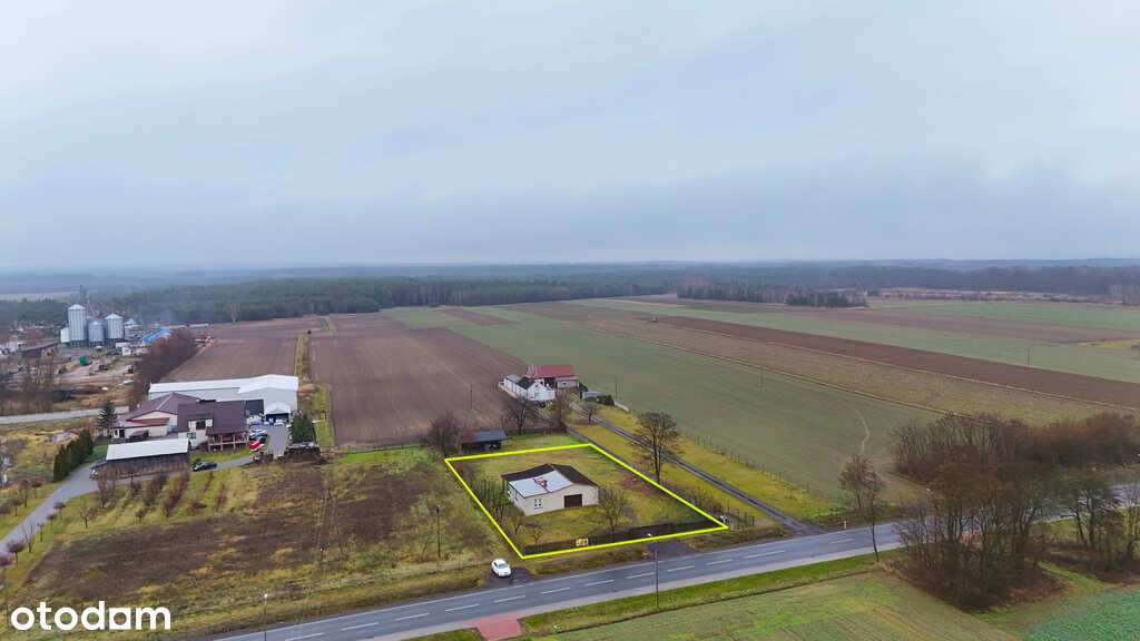 Tartak / hala przy DK486 – świetna lokalizacja!-5